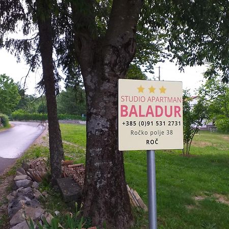 Apartman Studio Baladur Roč Exteriör bild